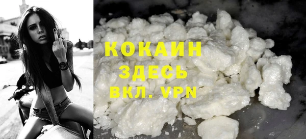 индика Алексин
