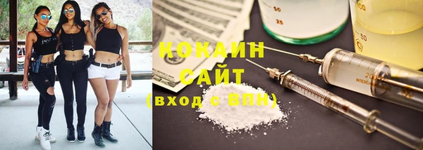 2c-b Алзамай