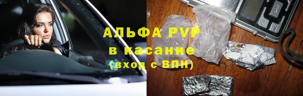 индика Алексин