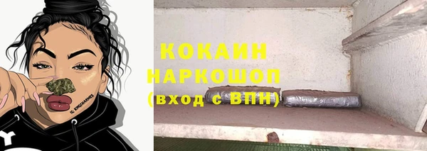индика Алексин