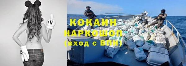 индика Алексин