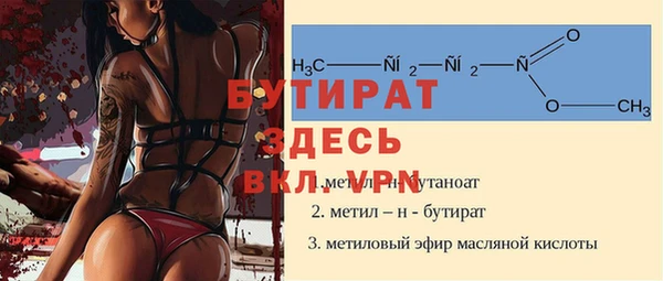 индика Алексин