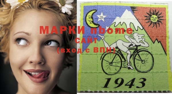 индика Алексин