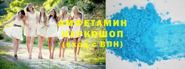 индика Алексин