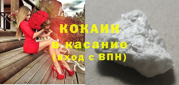 индика Алексин