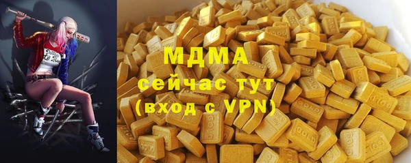индика Алексин