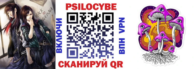 Псилоцибиновые грибы Psilocybe  Андреаполь 